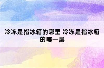 冷冻是指冰箱的哪里 冷冻是指冰箱的哪一层